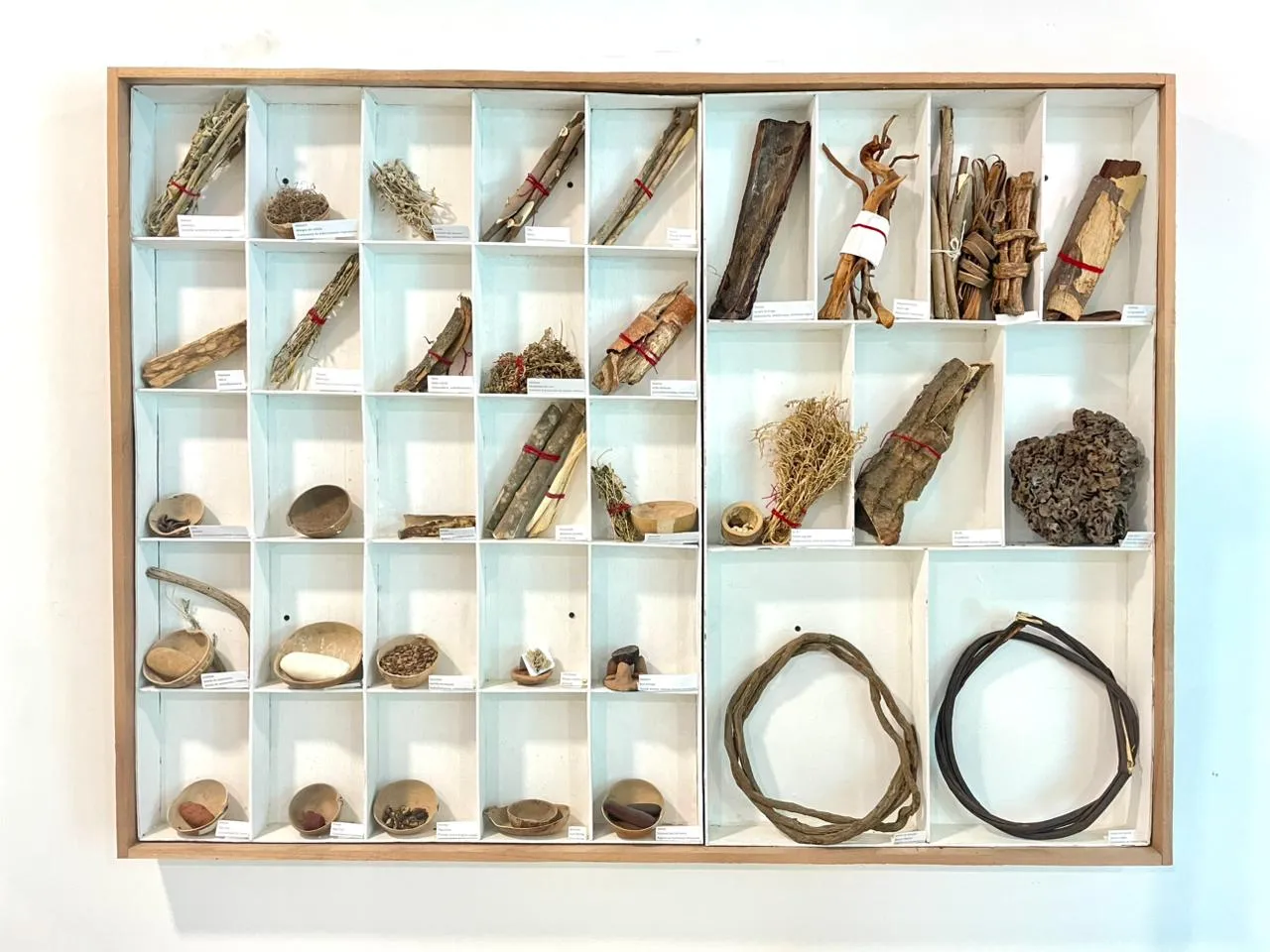 Epinase (Panel de Medicina Ancestral y Plantas Curativas)